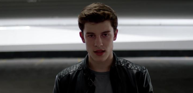 Shawn Mendes Stitches