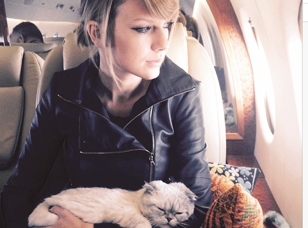 Taylor Swift and Cat Instagram 