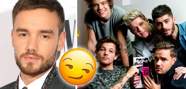 Are One Direction Getting Back Together?